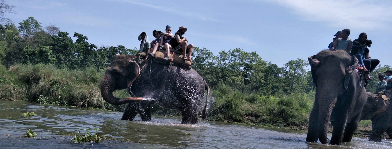 Tiger tracking in Bardia National Park