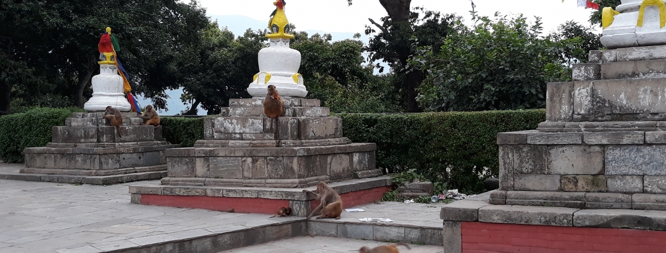 Kathmandu sightseeing tour