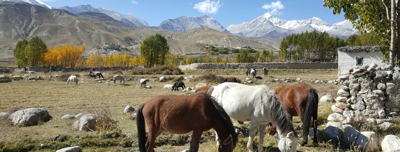 upper mustang tiji festival trek