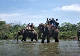 Kathmandu Pokhara Chitwan Tour